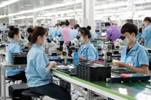 Ninh Bình tăng cường kết nối cung – cầu lao động, phát triển thị trường lao động bền vững