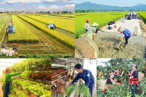 Chương trình MTQG vùng dân tộc thiểu số và miền núi: Hoàn thiện pháp lý, tăng tốc giải ngân