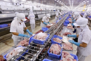 Quy định mới của EU MRL về Asen vô cơ trong cá và các loại hải sản khác