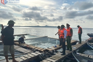 Biên phòng Cô Tô đưa người, phương tiện vào nơi tránh trú bão an toàn