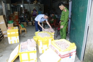Nghệ An: Phát hiện kho lạnh chứa lượng lớn chân gà, xúc xích lậu