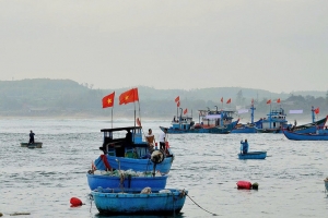 Ninh Bình quyết liệt triển khai giải pháp chống khai thác IUU, hướng tới gỡ “Thẻ vàng” của EC