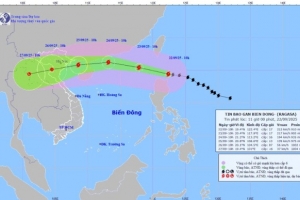Quảng Trị triển khai các biện pháp khẩn cấp phòng chống bão số 9