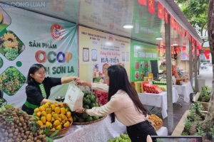 Khai trương Sàn trưng bày và giới thiệu sản phẩm Hoa Phượng