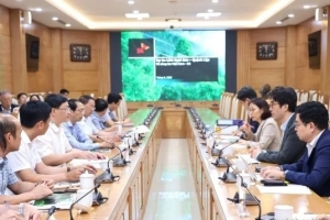 Đề xuất phương án tích hợp cụm Nhà máy Nhiệt điện khí LNG Quỳnh Lập - Nghi Sơn