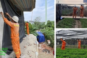 Chủ động ứng phó bão số 9: Đảm bảo an toàn lưới điện truyền tải phía Bắc