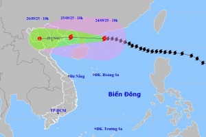 Bộ Chỉ huy Quân sự tỉnh Thanh Hóa chủ động ứng phó bão số 9