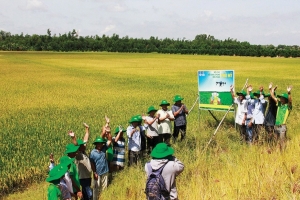 Petrovietnam và vai trò trụ cột an ninh lương thực quốc gia