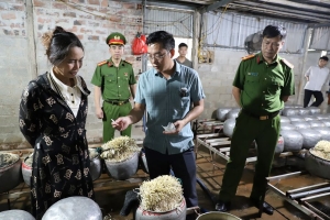 Hà Tĩnh: Phát hiện một cơ sở dùng chất cấm sản xuất hơn 470 kg giá đỗ