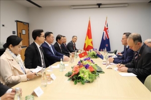 Thúc đẩy quan hệ Đối tác Chiến lược toàn diện Việt Nam - New Zealand phát triển mạnh mẽ và toàn diện hơn