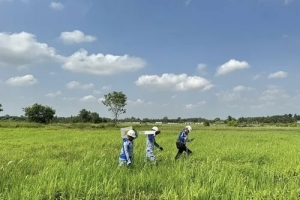 TP. HCM tăng cường thêm nhân lực giải phóng mặt bằng cao tốc TP. HCM - Mộc Bài