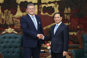 Phó Thủ tướng Bùi Thanh Sơn tiếp Cao uỷ Thương mại và An ninh kinh tế Liên minh châu Âu