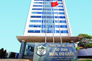 Lợi nhuận quý II phân hóa mạnh: Hoàng Anh Gia Lai bứt phá, Dabaco giảm sâu, Becamex BCE tiếp tục thua lỗ