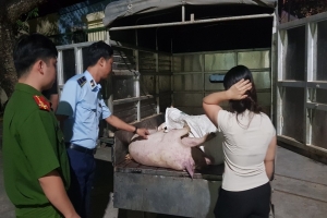 Hưng Yên: Tăng cường xử lý các trường hợp sản xuất, kinh doanh thực phẩm không rõ nguồn gốc xuất xứ