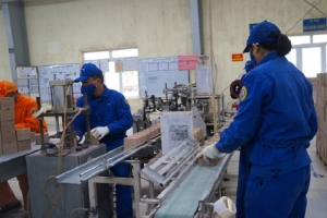 Phú Thọ chuẩn bị có nhà máy sản xuất khuôn pháo hoa 90 tỷ đồng, tăng cung ứng ra thị trường