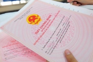 Giấy tờ cần có để xem xét cấp quyền sử dụng đất