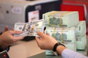 Vì sao tỷ giá tại Việt Nam tăng nhanh dù đồng USD quốc tế mất giá?
