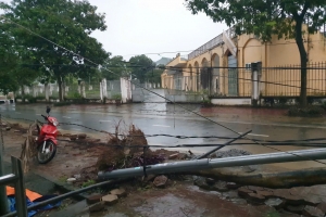 Ảnh hưởng của bão số 10, Lào Cai ước tính thiệt hại ban đầu khoảng 5 tỷ đồng