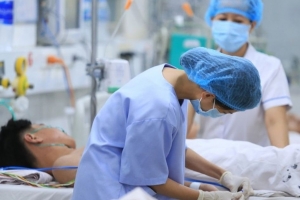 Hà Nội: Ghi nhận 321 ca sốt xuất huyết, tăng 63 trường hợp so với tuần trước