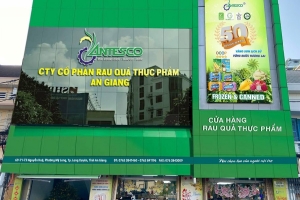 Cổ phiếu ANT bùng nổ: Doanh nghiệp rau quả An Giang chinh phục "sân chơi lớn"