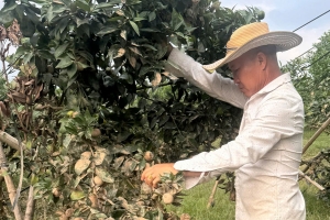 Bắc Ninh: Sẵn sàng phương án xử lý sự cố ô nhiễm môi trường, khắc phục hậu quả lũ lụt