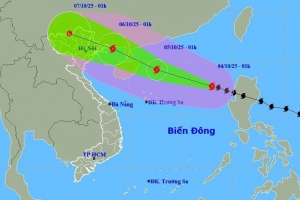 Bão số 11 Matmo cách Hoàng Sa 570km, giật cấp 14, đang tăng tốc mạnh