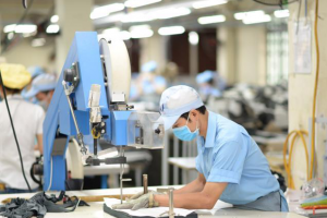 Hơn 231.000 doanh nghiệp gia nhập, tái gia nhập thị trường trong 9 tháng năm 2025
