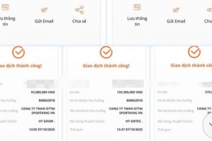 Một phụ nữ ở Hà Tĩnh bị lừa hơn 600 triệu khi tham gia nhóm pickleball trên mạng