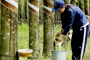 Dòng tiền thận trọng, thị trường hàng hóa thế giới tạm ‘giữ nhịp’