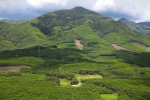 Thủ tướng yêu cầu doanh nghiệp nhà nước báo cáo kết quả sản xuất, kinh doanh trước ngày 25/10