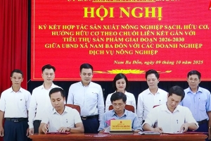 Quảng Trị: Đẩy mạnh hợp tác phát triển nông nghiệp hữu cơ theo chuỗi liên kết tại xã Nam Ba Đồn