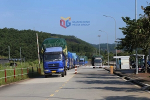 Xuất nhập khẩu hàng hoá qua Lối mở Km3+4 Hải Yên tăng hơn 46% so với cùng kỳ