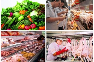 Bộ Y tế tăng cường chế tài, cấm "giấy phép con" trong quản lý an toàn thực phẩm