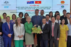 Bưởi Việt Nam chính thức được xuất khẩu sang Úc: Cơ hội mới cho nông sản