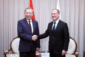 Tổng Bí thư Tô Lâm gặp Chủ tịch Đảng Nước Nga Thống nhất Dmitry Medvedev