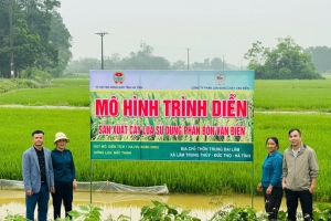 Ngành hóa chất và vai trò đảm bảo an ninh lương thực quốc gia