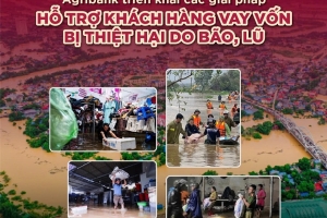 Agribank giảm tới 2%/năm lãi suất cho vay hỗ trợ khách hàng bị ảnh hưởng, thiệt hại do bão, lũ