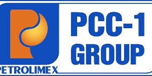 Công ty CP Tập đoàn Xây lắp 1 - Petrolimex bị phạt 60 triệu đồng