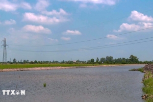 Lần đầu tiên bồi thường bằng tiền cho đường điện giao cắt cao tốc