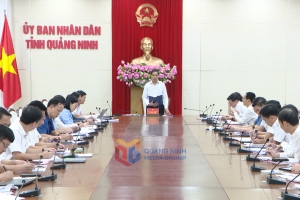 Phó Chủ tịch Thường trực UBND tỉnh Quảng Ninh làm việc với các phường về vận hành mô hình chính quyền địa phương 2 cấp