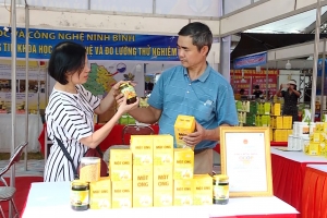 Ninh Bình triển khai xây dựng Chương trình xúc tiến thương mại giai đoạn 2026–2030