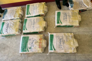 Quảng Trị: Giám định 500 kg tinh thể nghi ma túy
