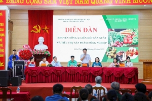 Xã Kiều Phú thúc đẩy liên kết, nâng tầm nông sản an toàn hướng tới phát triển bền vững