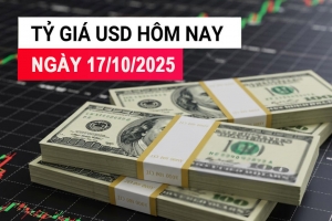 Tỷ giá USD hôm nay 17/10: Ngân hàng hạ nhẹ, “chợ đen” vọt tăng 37 đồng