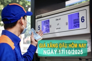 Giá xăng dầu hôm nay 17/10: Giá xăng tăng nhẹ, dầu trong và ngoài nước có hướng trái chiều