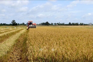 Đẩy mạnh chuyển đổi số và chiến lược phát triển khuyến nông đến năm 2030