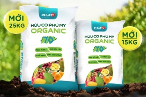 PVFCCo - Phú Mỹ đưa ra thị trường sản phẩm mới