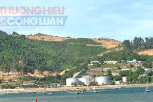 Cảng Đà Nẵng đề xuất đầu tư dự án Bến cảng Liên Chiểu