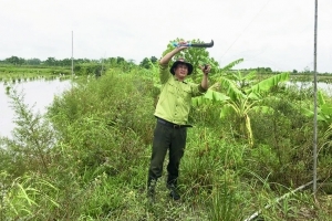 Thanh Hoá tăng cường quản lý hành vi săn, bẫy bắt động vật hoang dã