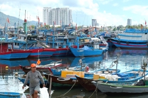 Đà Nẵng: Chủ tịch UBND xã, phường chủ động quyết định cho học sinh nghỉ học để ứng phó với bão số 12